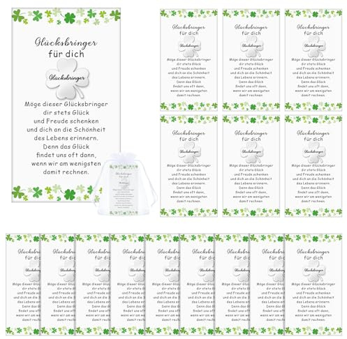 Otuuz 15 Sets Kleeblatt Glücksbringer mit Karte Dankeschön Abschiedsgeschenk für Team Kollegen Mitarbeiter kleine Glücksstein mit Spruch für Weihnachten Jobwechsel(Edelstahl)