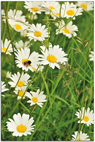 Wallario Outdoor-Poster für Garten oder Balkon Margeritenwiese, Motivbanner Größe: ca. 60 x 90 cm, Outdoor-Bild