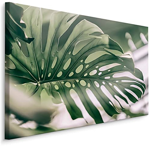 Muralo Leinwandbilder 120x80 Natur Pflanzen Blätter Monstera Grün Exotisch Canvas Wandbild Kunstdruck Schlafzimmer Wohnzimmer Wanddekoration Design XXL Br. 120 cm x Hö. 80 cm Br. 120 cm x Hö. 80 cm