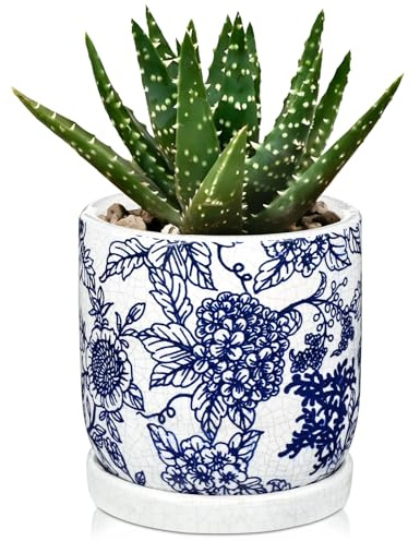 Hollyone Blumentopf mit Untersetzer und Drainageloch Keramik Pflanzentöpfe Rund Übertöpfe für Zimmerpflanzen Sukkulenten Topf für Outdoor Garten Pflanzgefäße 14cm, Blau