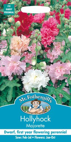 Mr Fothergills - Pictorial Packet - Flower - Hollyhock Majorette Mixed - 50 Seeds