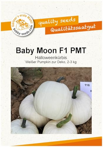 Kürbissamen Baby Moon F1 PMT Portion