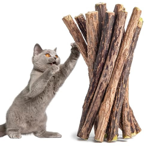 JSKWIKE 30 Pcs Bastoncini di Matatabi Silvervine Naturali per Gatti Bastoncini Cura Denti per Gatti Giocattolo di Erba Gatta Bastoncini da Masticare per Gatti Allevia La Tensione E L'Ansia Del Gatto