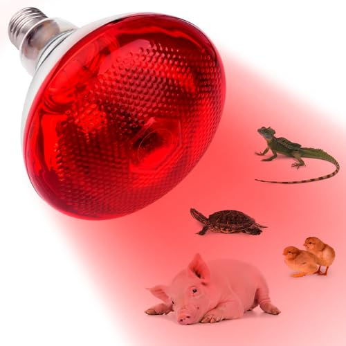 Weciau Ampoule Chauffante, Lampe Chauffante Infrarouge 250W, Lampe Infrarouge E27 pour animaux pour poules, chiens, cochons et vivariums