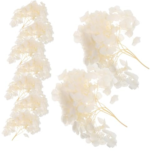 Hemobllo di Ortensia Essiccati Decorazioni Floreali Vintage per Matrimoni Secchi per Allestimenti e Centrotavola Raffinati