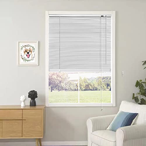 YIIBAII Mini Blinds Suitable for 24 W x 64 H Windows 1 Aluminum Horizontal Venetian Blinds Darkening with Rope and Pole can Mounted Inside or Outside