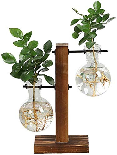 zaizai Pot De Fleurs en Verre avec Cadre en Bois Vintage, pour Milieu De Culture Hydroponique