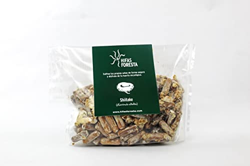 HIFAS - Setas Autocultivo - Autocultivo de Seta Shiitake sobre Troncos de Madera, Perfecto para el Cultivo de Setas en casa o para el Huerto, Mushroom Growing (200 Uds)
