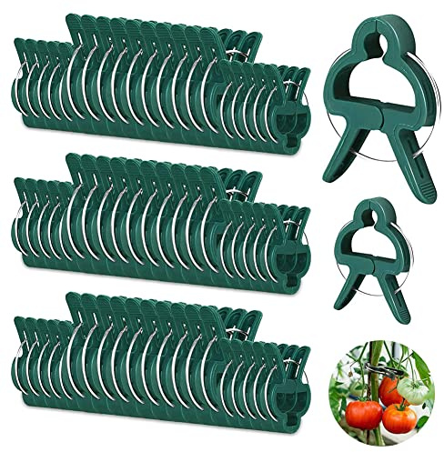 SAIJIAN 100 Stück Pflanzenklammern Pflanzenclips Gartenclips Pflanzenstützclip Plant Clips für Kletterpflanzen Stabile Pflanzenklammern für Pflanzenkletterunterstütztes Wachstum (Große und Kleine)