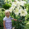 Lilien Zwiebeln Winterhart Mehrjährig - Pretty Woman Riesen Lilien (3 Zwiebeln) - Winterharte Blumenzwiebeln - aus Holland (große Knollen, kein Samen, nicht künstlich)