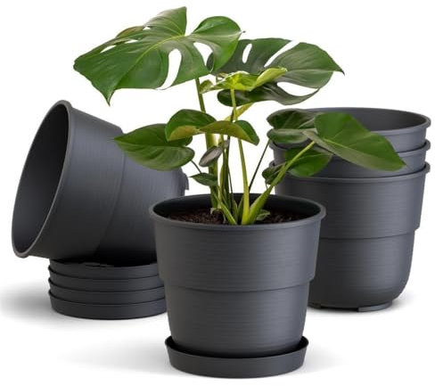 Plastard Blumentöpfe 5er Set 24 cm Durchmesser mit Untersetzer aus Kunststoff Anthrazit runder Pflanzkübel witterungsbeständiger Übertopf große Blumentöpfe