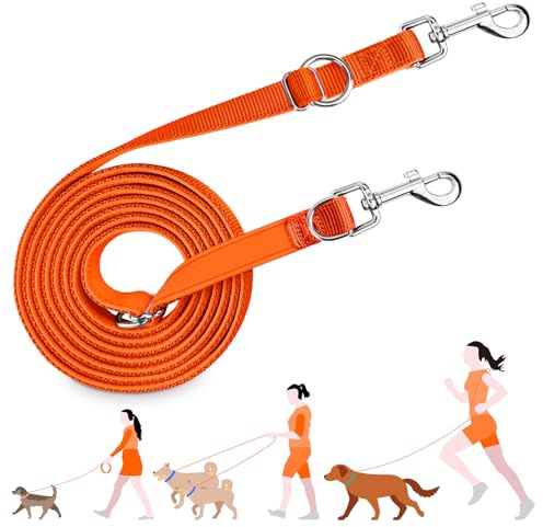 PETCOOZ Hundkoppel med Dubbel Krok, 3 m Justerbart Hundträningskoppel, Mångsidigt Hundkoppel i Nylon med Handsfreefunktion, för Små och Medelstora Hundar, Orange