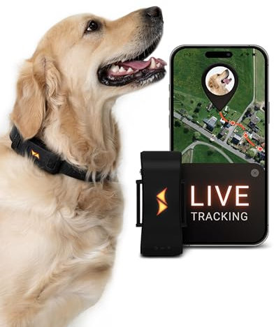 PAJ GPS Tracker für Hunde - 4G - Weglaufalarme + weltweite Live-Ortung - bis zu 10 Tage Akkusparmodus - Hunderückruf - mit Leucht-LEDs - Wasserdicht (IP67) - passt an jedes Halsband - schwarz