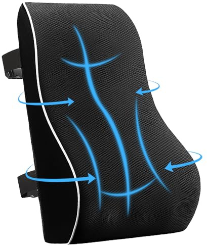 Zyluniy Cojín de Soporte Lumbar Ergonómic, Cojín Lumbar, Almohada Ergonómica Espuma con Memoria para la Espalda con Funda Antie Stática Adecuado para el Hogar, Oficina (Negro)