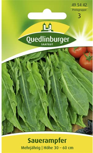 Quedlinburger Sauerampfer mehrjährig, 1 Tüte Samen