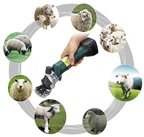 ZZQ-Le rasage Multifonction Électrique Machine Cheveux De Électrique Professionnelle Cisaillement Animal Tondeuse Cisaille À Mouton Cheveux Tondeuse Mouton Chèvre Capacité De La Batterie 6500mAh 200W