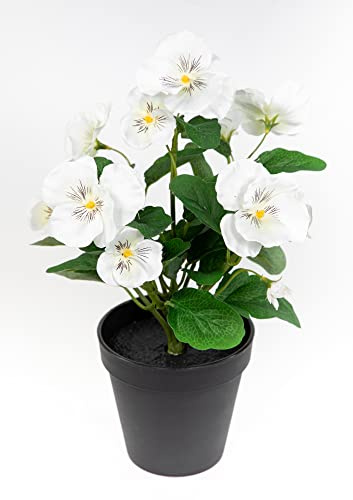 Seidenblumen Roß Stiefmütterchen 30cm im Topf FT Kunstpflanzen künstliche Veilchen Blumen Kunstblumen (Weiss)