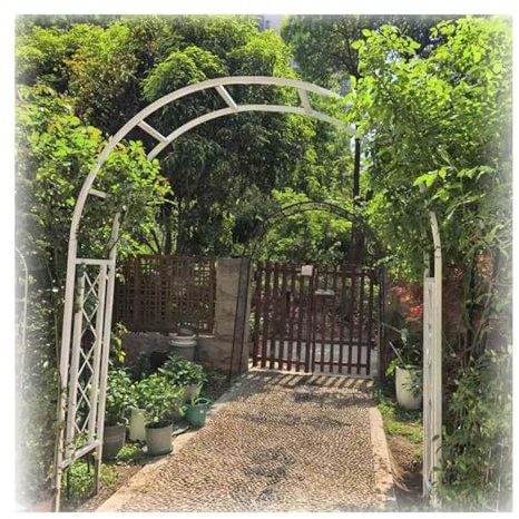 Exterior Arco Para Rosas,Pesado Arco De Jardín Soporte Rosales Y Plantas Trepadoras, Metal Enrejado, Decoración De Patio Pérgola ,césped,Negro,Blanco,Verde(White,240cm de alto x 400cm de ancho)