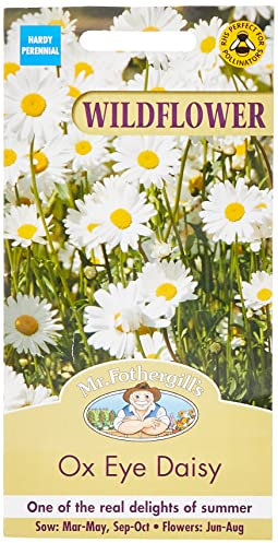 Mr Fothergill?s Seeds Ltd 20631 Mr Fothergill's Wildflower Ox Eye Daisy, White