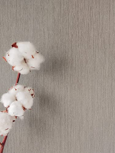 NEWROOM Papier peint Marron Couleur Unie Intissé - Couleurs Unies Taupe Enduit Texture Moderne