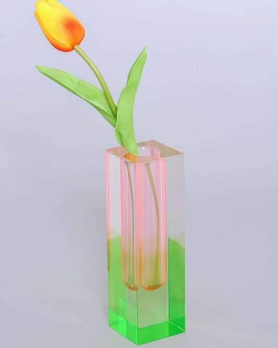 HLYU Acryl-Vase, Knospenvase für Tafelaufsätze, einzigartige eklektische Dekoration, niedliche Blumenvasen für modernes Zuhause, Büro, Schlafzimmer, Wohnzimmer, Esstisch (Rosa, Grün)