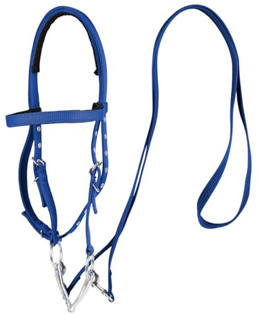 AQINGR Bride pour cheval - Harnais réglable - Rênes d'équitation - Bleu - Taille L