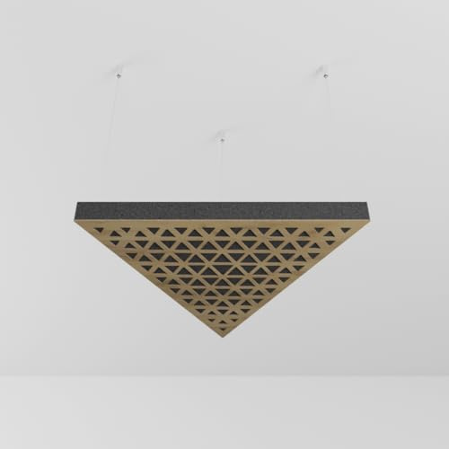 Lot de 2 panneaux acoustiques montés au plafond avec kit de montage | Panneaux insonorisants et diffusants | Réduction d'écho | Traitement acoustique | Couleur : (Chêne, TRIADA)