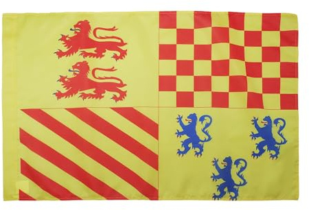 AZ FLAG Drapeau Corrèze 90x60 cm Drapeau Français Polyester 100D Fourreau | Usage intérieur et extérieur Drapeau décoratif coutures doubles et bords renforcés avec fourreau pour mât