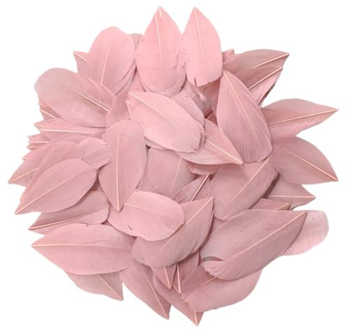GreatRise 500 Stück 5-7cm Gänsefedern Natürliche Federn zum Basteln Dekofedern Bastelfedern für DIY Handwerk Traumfänger Ohrring Hüte Maske Hochzeit Party Dekoration Bastelprojekte Leder Rosa