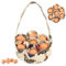 JDBlissful Cesta de recogida de huevos mini, Cesta Coleccionadora de Huevos Plegable, Bolsa Portátil Para Huevos Con 7 Bolsas Para Pascua Granja Recolección y Envío de Huevos