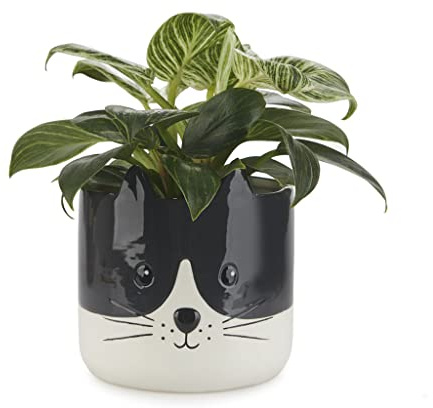 balvi Blumentopf Kitty Farbe Schwarzweiß Origineller Blumentopf in Form eines Kätzchens Keramik 13,7