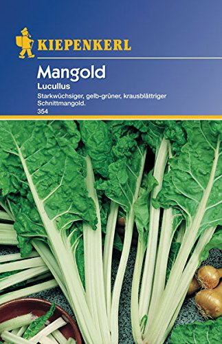 Sperli 354 Gemüsesamen Mangold Lucullus, grün