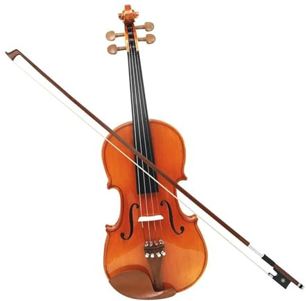 Geige 4/4 Violine Ahorn Fall Bogen Violine Für Anfänger Set Profis Geige Teile FICHTE