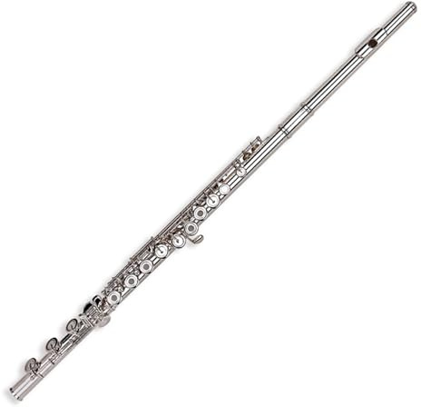 Querflöten Musikinstrument 16-Loch-Flöte Anfänger spielt Flöte mit geschlossenem Loch