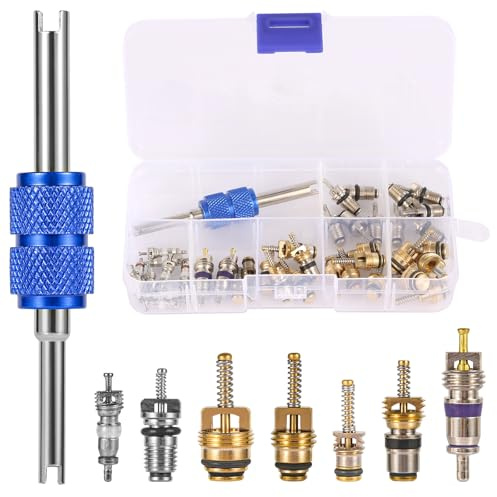 PEUTIER Kit de 40 Pièces de Noyau de Valve AC, Noyau de Valve de Climatiseur de Voiture avec Outil de Démontage à Double Tête Kit de Valve Schrader A/C R12 R134a pour la Plupart des Voitures