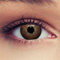 DESIGNLENSES, Natürlich wirkende Kontaktlinsen Dimension Hazel Haselnussbraun farbige Kontaktlinsen braun 1 Paar (2St.),Tragedauer 3 Monate + Gratis Behälter mit Stärke -0,75