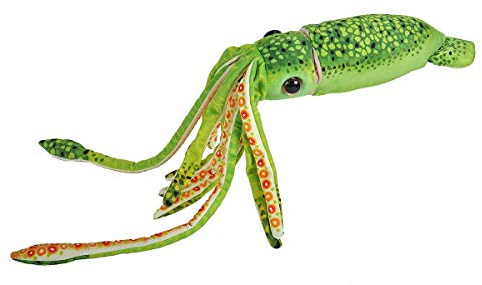 Wild Republic 23546 Wr Print, Tintenfisch Green, 22, 56 cm