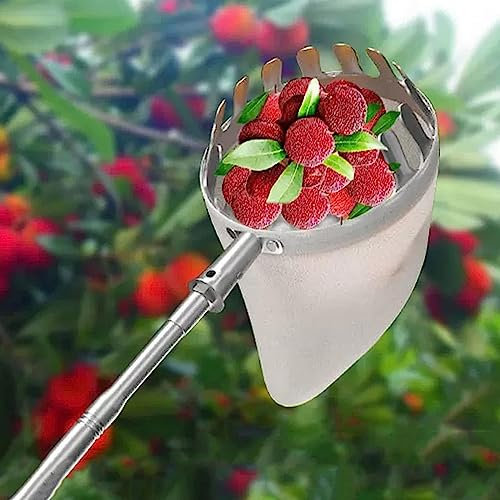 LekLai Obstpflücker, Apfelpflücker, Obsternte, Obstsammler Mit Fußausziehbarer Teleskopstange Und Rutschfestem Griff, Praktischer Erntehelfer Für Die Ernte Von Birnen, Zitronen Und Orangen/2.5M/8.2F