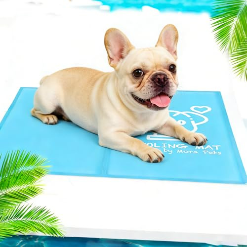 Pawtasy Kühlmatte Hunde Katze Kühldecke Sommer Kühlkissen mit Ungiftiges Gel für Klein Haustiere Hundekühlmatte Selbstkühlend Hund Kühl Kühlende Hundematte, Wasserdicht & langlebiger, M 65x50 cm, Blau