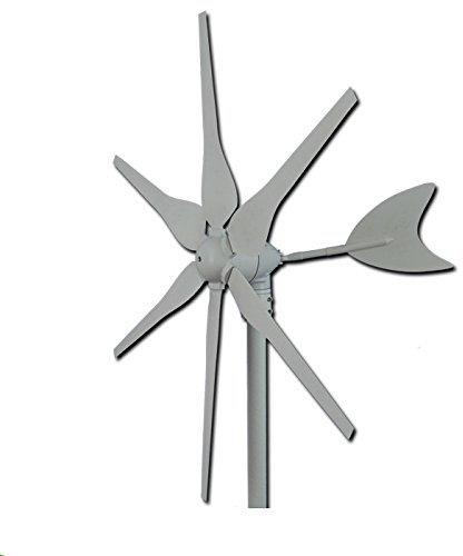 GOWE Wind Turbine Generator 300W Hyacinth Wind Generator, Full Power Wind Mill,12V/24V Optional.