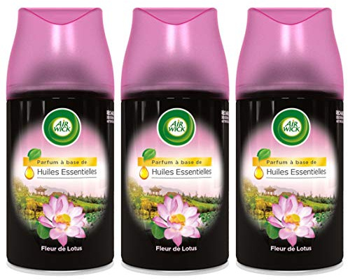 Air Wick - Recambio freshmatic Max Rare Scents - Juego de 3