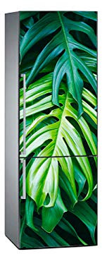 Oedim Adesivi in vinile per frigorifero con foglia giungla | 185 x 60 cm | adesivo resistente | adesivo decorativo dal design elegante