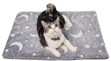 ikasus Hundematte Hundedecke 40x50 cm Waschbar Quadrat Haustierbett Katzenbett für kleine mittelgroße Hunde Katze leuchtendes kurzes Plüsch Katzenkissen Haustierbett Haustiermatten Grau