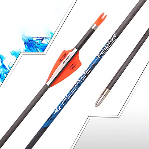 ACCMOS ID 4,2 mm Pfeil aus Reinem Kohlenstoff Spine 900 Jagd Übungspfeil, für Recurve Bogen Compoundbogen Bogenschießen 12 Stück (Spine 900, 29inch)