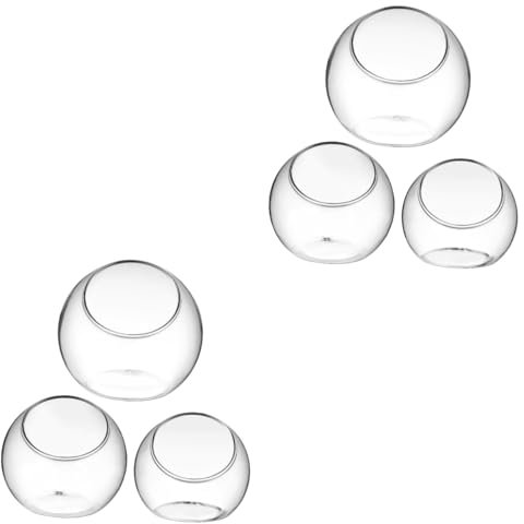 MERRYHAPY 6 STK Glasschalen Sukkulenten Pflanzen Tischpflanzenterrarium Klare Pflanzentöpfe Tischdekoration Vase Mini-Terrarium Tischdekorationsvase Pflanzen Terrarienkugeln Anzeige Teranium