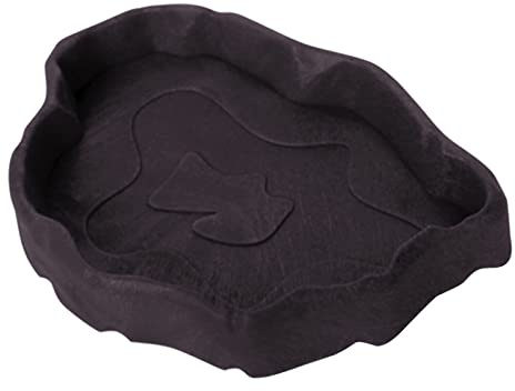 BUBEFSKD Rettili Acqua Ciotola per Alimenti Ciotole Animali in Plastica Piccoli Rettili della Farina Lucertola Drago Barbuto Ragno Grillo Tartaruga Verme Tartaruga Drago