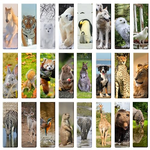 24 Stück lesezeichen magnetische kind Lesezeichen-Clips, Schule-Zubehör, Einschulung-Geschenk