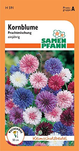 Samen Pfann H591 Kornblume gefüllte Mischung (Kornblumensamen)