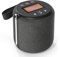 DAB Radio Portatile, Altoparlante Bluetooth 5.0, FM, IPX4 Resistente All'acqua, USB Tipo C, Stereo 5W Ricaricabile Per Doccia