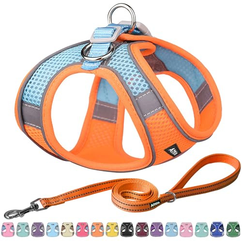 AIITLE Hundegeschirr, No-Pull Katzengeschirr mit Leine, Orange XXXS | einstellbare reflektierende Hundeweste, Welpengeschirr fluchtsicher, Spaziergang im Freien für kleine Hunde und Hauskatzen